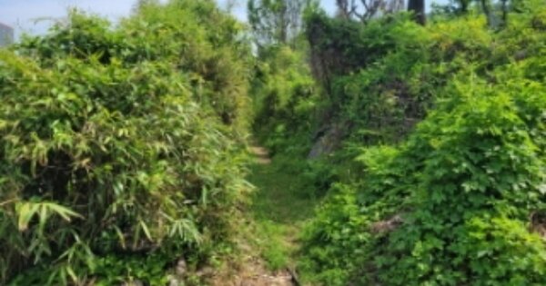 경상남도 양산시 어곡동 OOO 전 경매 물건 이미지