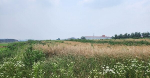 충청남도 천안시 서북구 성환읍 도하리 OOOOO 임야 경매 물건 이미지