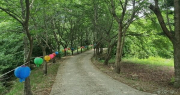 충청남도 아산시 영인면 신봉리 OOOO 임야 경매 물건 이미지