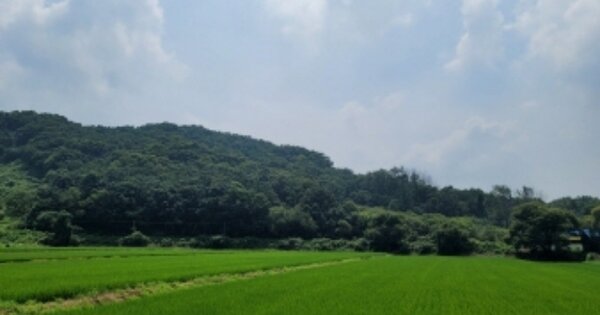 충청남도 천안시 동남구 병천면 관성리 OOOOO O OOO 임야 경매 물건 이미지