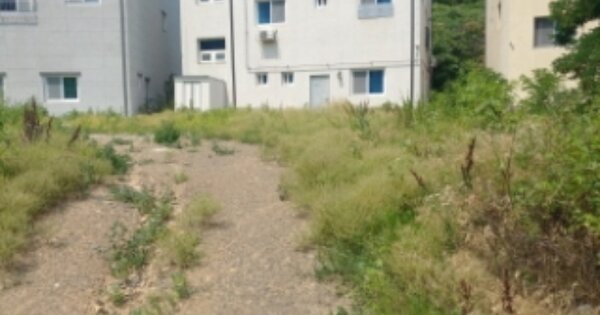 대구광역시 동구 사복동 OOOOO 대지 경매 물건 이미지