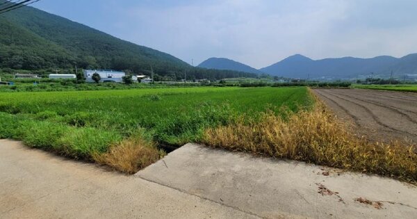 경상북도 영천시 임고면 삼매리 OOO 답 경매 물건 이미지