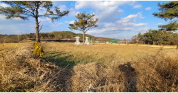 경상북도 영천시 고경면 도암리 OOO 전 경매 물건 이미지