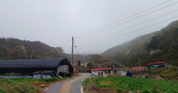 인천광역시 옹진군 덕적면 서포리 OOOO 임야 경매 물건 이미지
