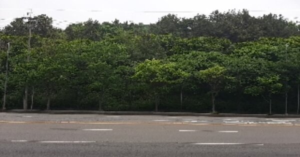 인천광역시 서구 공촌동 OOOOOO O OOO 임야 경매 물건 이미지