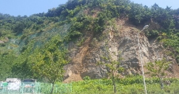 부산광역시 서구 암남동 OOO 임야 경매 물건 이미지