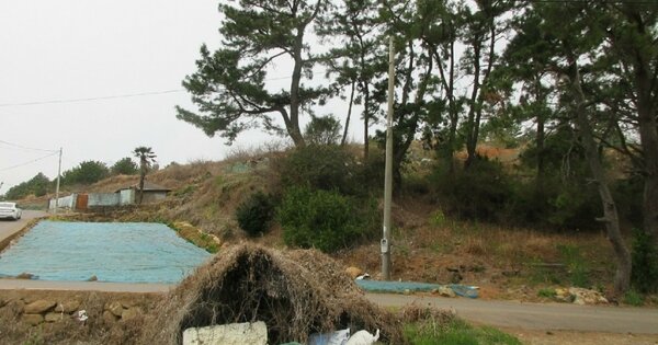 전라남도 여수시 돌산읍 우두리 OOOOOO 임야 경매 물건 이미지