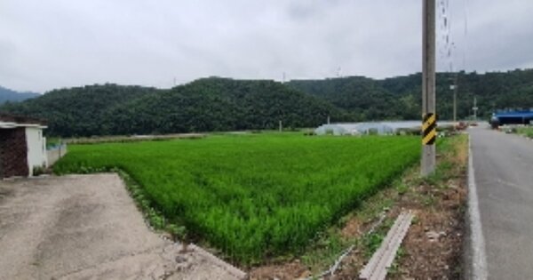 경상남도 의령군 칠곡면 신포리 OOO 답 경매 물건 이미지