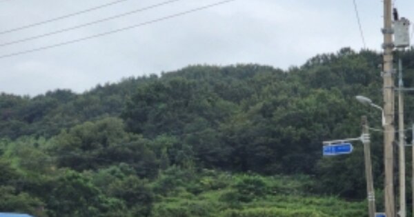 전라남도 여수시 율촌면 월산리 OOO 임야 경매 물건 이미지