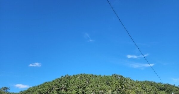 울산광역시 북구 어물동 OOO 임야 경매 물건 이미지