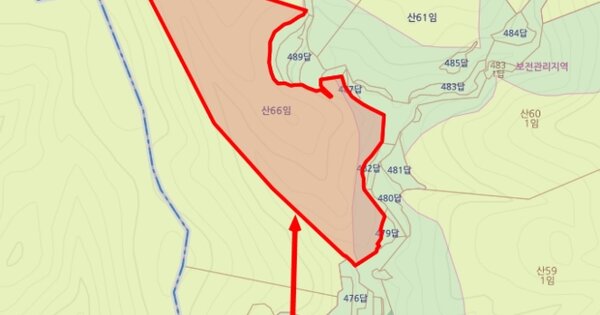경상북도 경주시 감포읍 호동리 OOO 임야 경매 물건 이미지