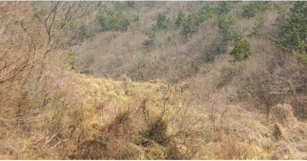 경상남도 거제시 장목면 외포리 OOOO O OOO 답 경매 물건 이미지