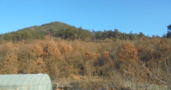 충청남도 부여군 홍산면 홍양리 OOO 임야 경매 물건 이미지