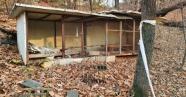 경기도 성남시 중원구 하대원동 OOO 임야 경매 물건 이미지