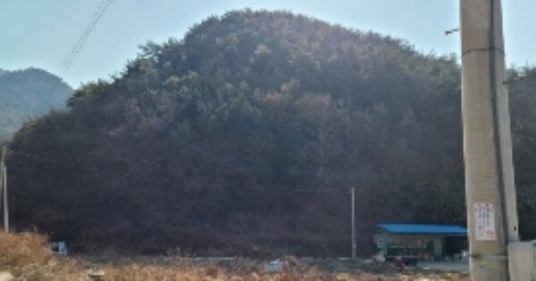 전라남도 화순군 도암면 호암리 OOO 임야 경매 물건 이미지