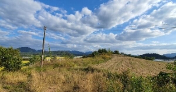 경상남도 함안군 칠서면 이룡리 OOOOOO 전 경매 물건 이미지