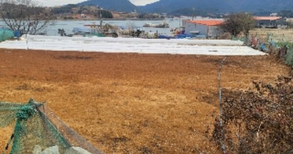 경상남도 통영시 용남면 동달리 OOOO 전 경매 물건 이미지