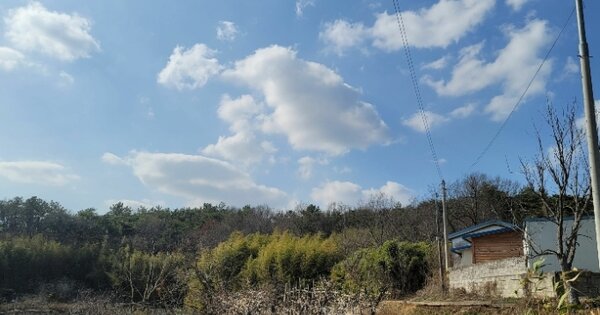 전라남도 함평군 대동면 백호리 OOOOOO 임야 경매 물건 이미지