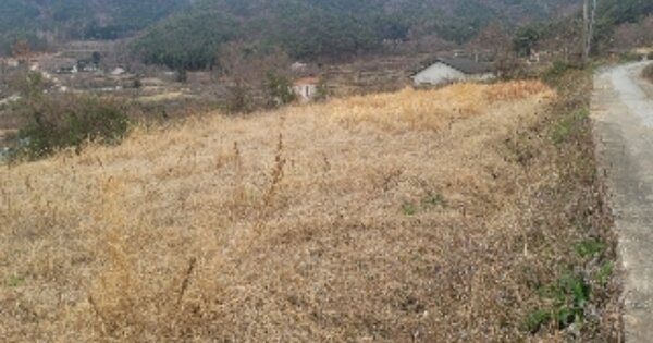 경상남도 거제시 둔덕면 거림리 OOOOO 답 경매 물건 이미지