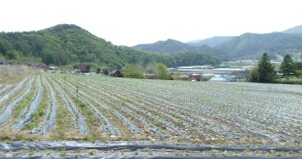 강원도 횡성군 안흥면 안흥리 OOOOO O OOO 전 경매 물건 이미지
