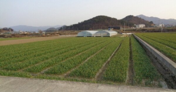경상남도 남해군 남해읍 심천리 OOO 답 경매 물건 이미지