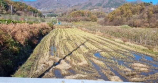 전라북도 장수군 장수읍 대성리 OOOO 답 경매 물건 이미지