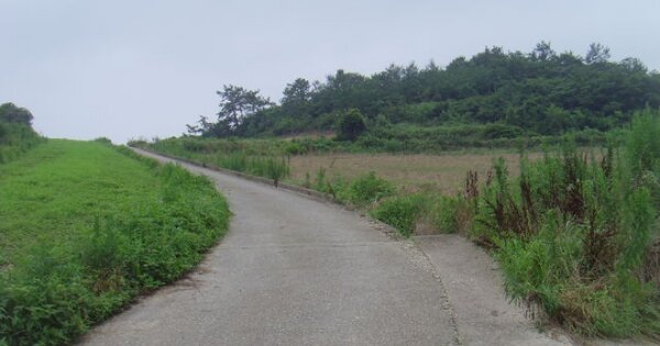 전라남도 진도군 군내면 녹진리 OOOOOOO 임야 경매 물건 이미지