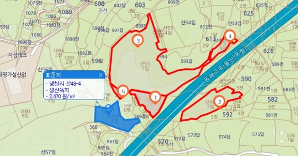 경상북도 경주시 외동읍 냉천리 OOOOO 임야 경매 물건 이미지