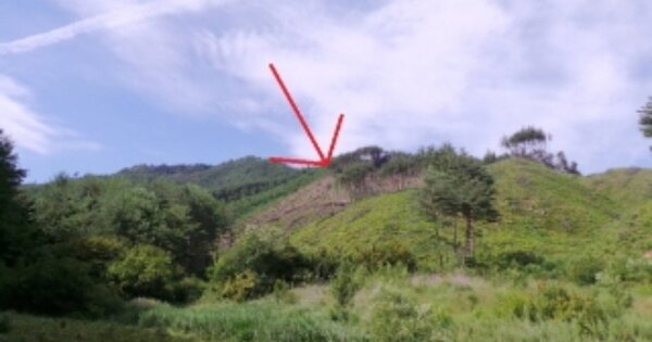 강원특별자치도 정선군 임계면 반천리 OOO 임야 경매 물건 이미지