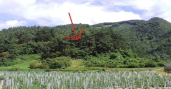 강원특별자치도 정선군 여량면 여량리 OOO 임야 경매 물건 이미지