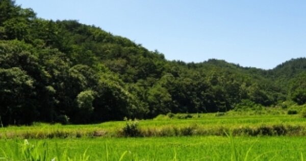 경상북도 경주시 건천읍 용명리 OOOOOO 임야 경매 물건 이미지
