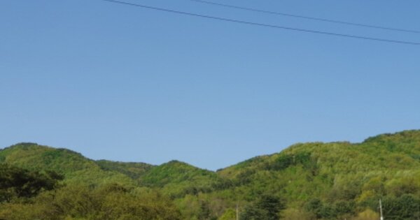경기도 양평군 개군면 주읍리 OOO 임야 경매 물건 이미지