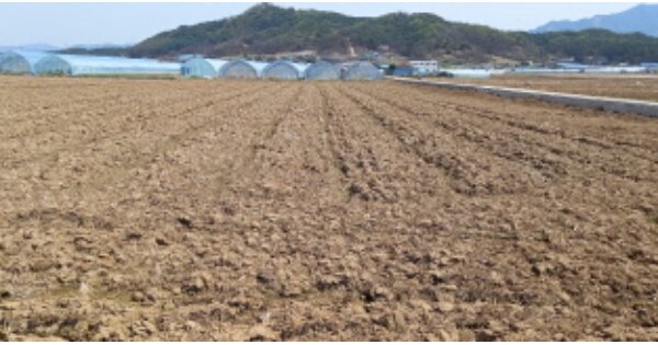 경기도 포천시 영북면 자일리 OOOO O OOO 답 경매 물건 이미지