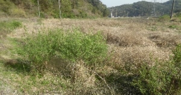 충청남도 서산시 성연면 오사리 OOO O OOO 답 경매 물건 이미지