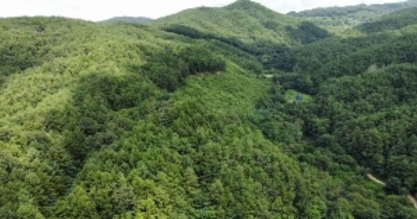경상북도 김천시 증산면 황정리 OOO 전 경매 물건 이미지