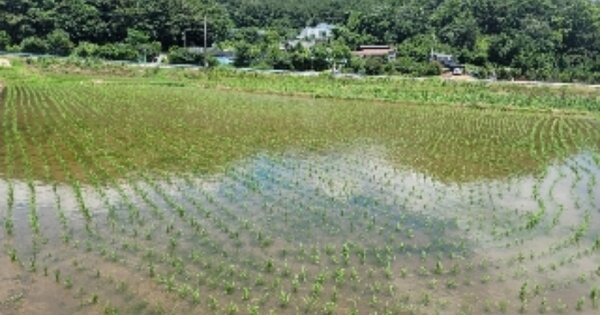 경상남도 통영시 광도면 노산리 OOO O OOO 답 경매 물건 이미지