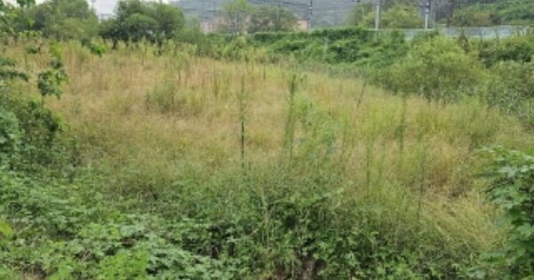 충청북도 충주시 대소원면 만정리 OOOOO 답 경매 물건 이미지