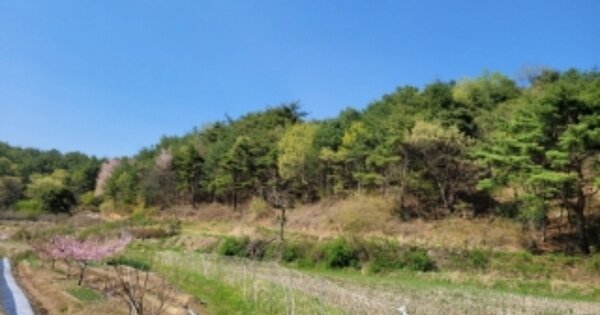 울산광역시 울주군 두동면 만화리 OOOOOO 임야 경매 물건 이미지
