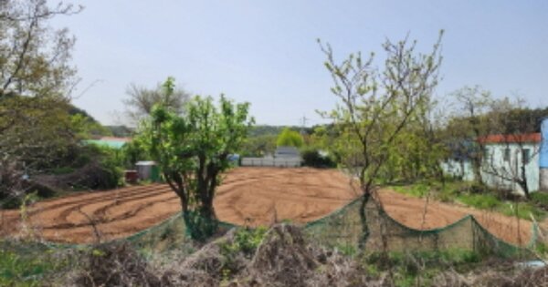 울산광역시 북구 가대동 OOOOO O OOO 전 경매 물건 이미지