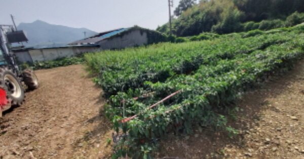 경상남도 고성군 동해면 내곡리 OOO 대지 경매 물건 이미지