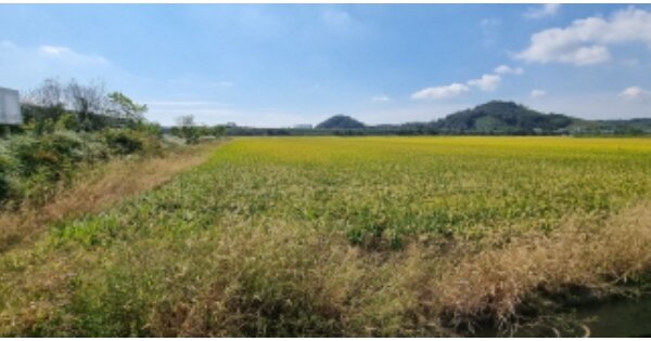전라북도 군산시 옥산면 당북리 OOOO 답 경매 물건 이미지