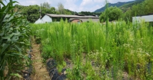 경기도 양주시 유양동 OOO 전 경매 물건 이미지
