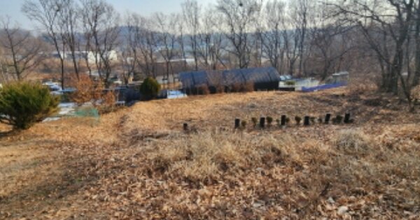 경기도 김포시 고촌읍 태리 OOO 임야 경매 물건 이미지