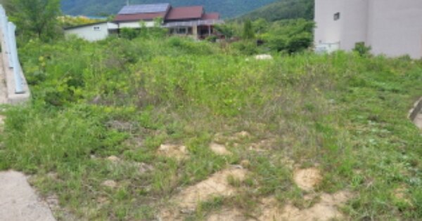 울산광역시 울주군 상북면 산전리 OOO O OOO 대지 경매 물건 이미지