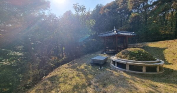 경기도 가평군 가평읍 읍내리 OOOOOO 임야 경매 물건 이미지