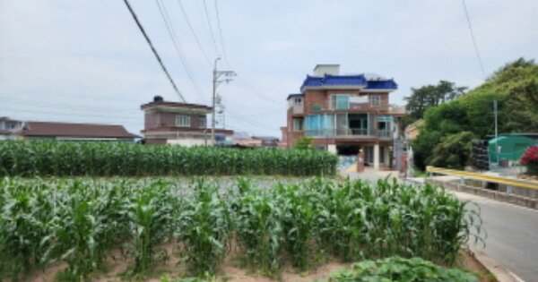 울산광역시 북구 구유동 OO 답 경매 물건 이미지