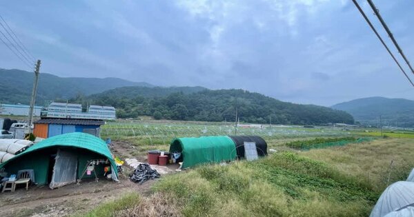 경상남도 사천시 사천읍 장전리 OOOOO 답 경매 물건 이미지
