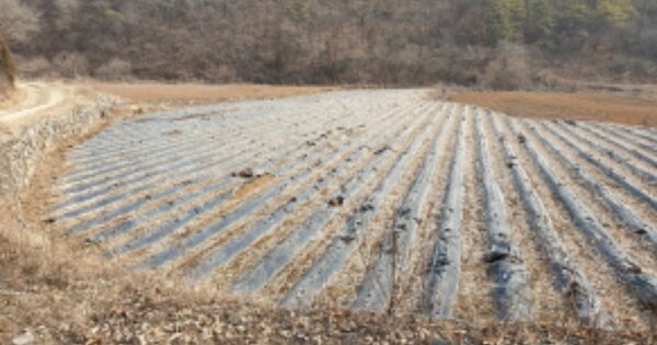 충청북도 단양군 가곡면 여천리 OO 답 경매 물건 이미지