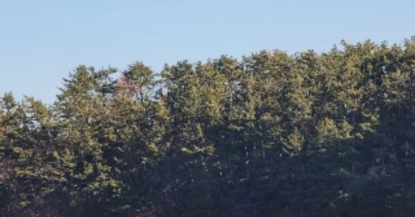 경상남도 통영시 광도면 죽림리 OOO 임야 경매 물건 이미지
