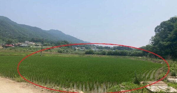 충청북도 제천시 봉양읍 명도리 OOO 답 경매 물건 이미지